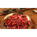 Saludable Goji Berry